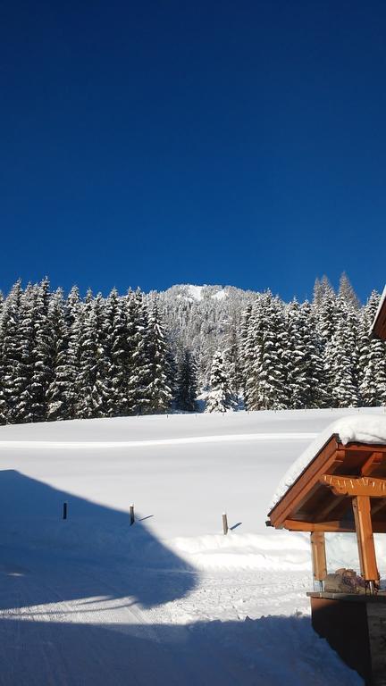 Apartment Knablhof Sankt Martin am Tennengebirge Oda fotoğraf