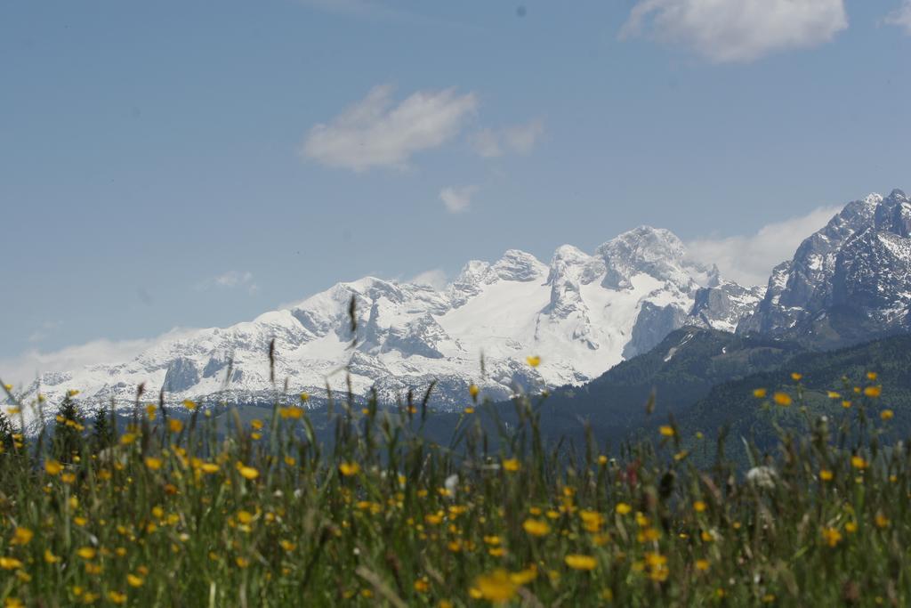 Apartment Knablhof Sankt Martin am Tennengebirge Dış mekan fotoğraf