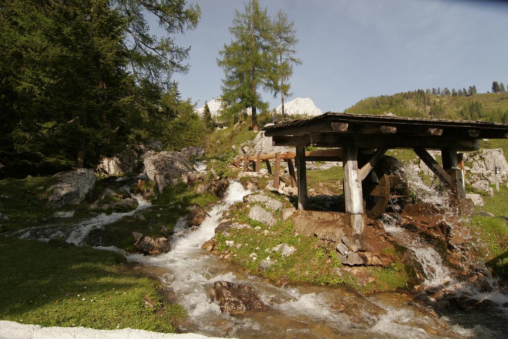 Apartment Knablhof Sankt Martin am Tennengebirge Dış mekan fotoğraf